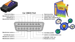 OBD II Connector Pinout YouTube