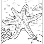 20 Starfish Coloring Pages (Free Pdf Printables) In Free Printable Colouring Pages Of A Starfish