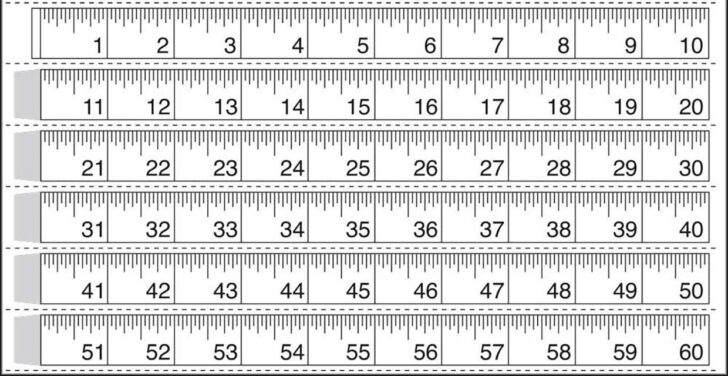 Printable Ruler in Inches