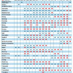 2024 Paris Olympics Preview, Schedule, Athletes To Watch And More! For 2024 Olympics TV Schedule Printable