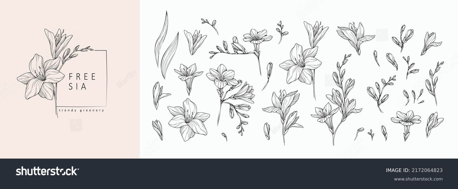 2,266,305 Botanical Drawings Royalty-Free Images, Stock Photos for Elegant Botanical Printables For A Classroom