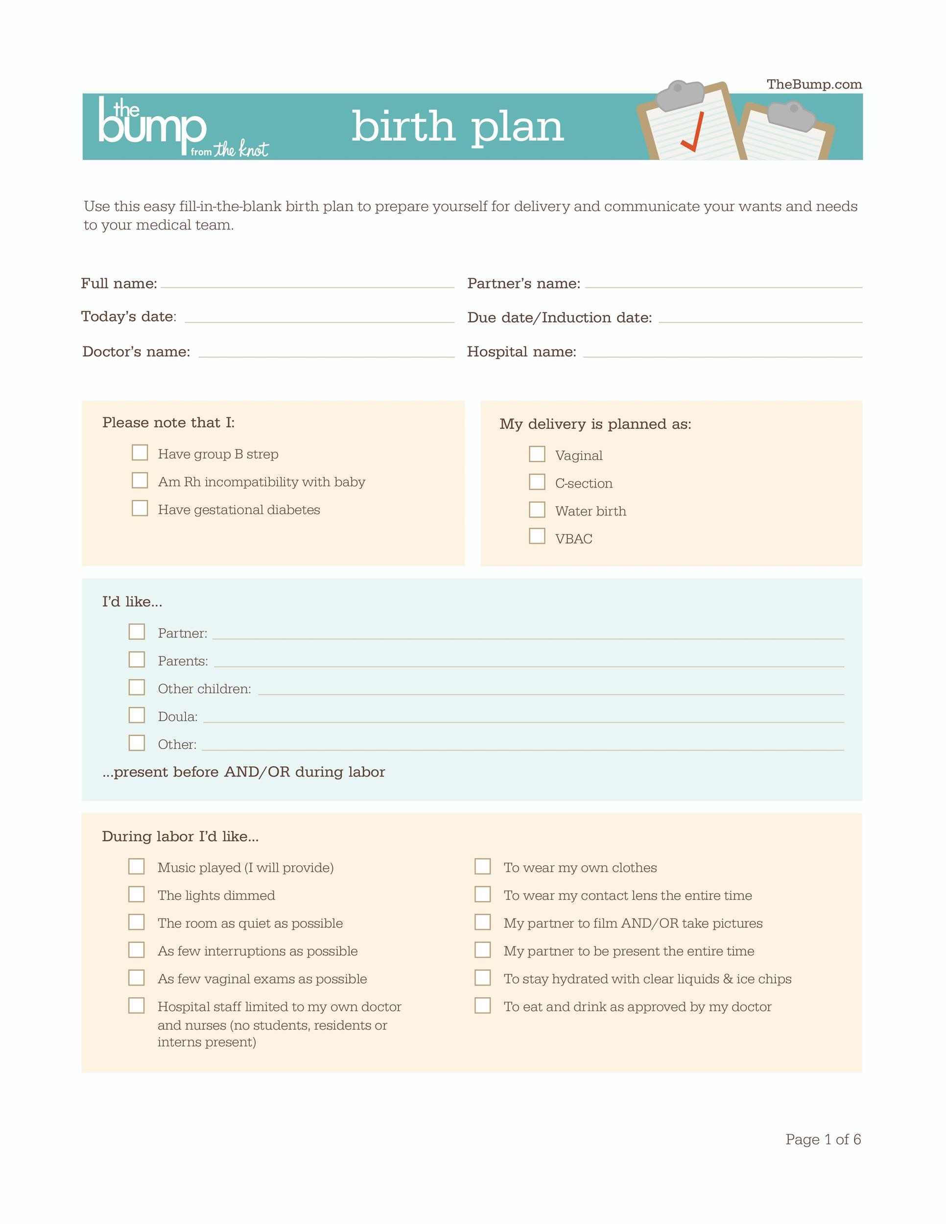 47+ Printable Birth Plan Templates [Birth Plan Checklist] ᐅ regarding Printable Birth Plan Template