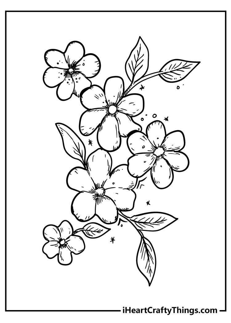 All New Flower Coloring Pages 2024 (100% Free Printables) intended for Coloring Pictures of Flowers Printable