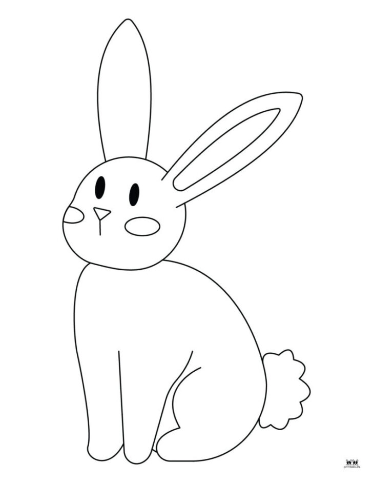 Rabbit Colouring Pages Printable