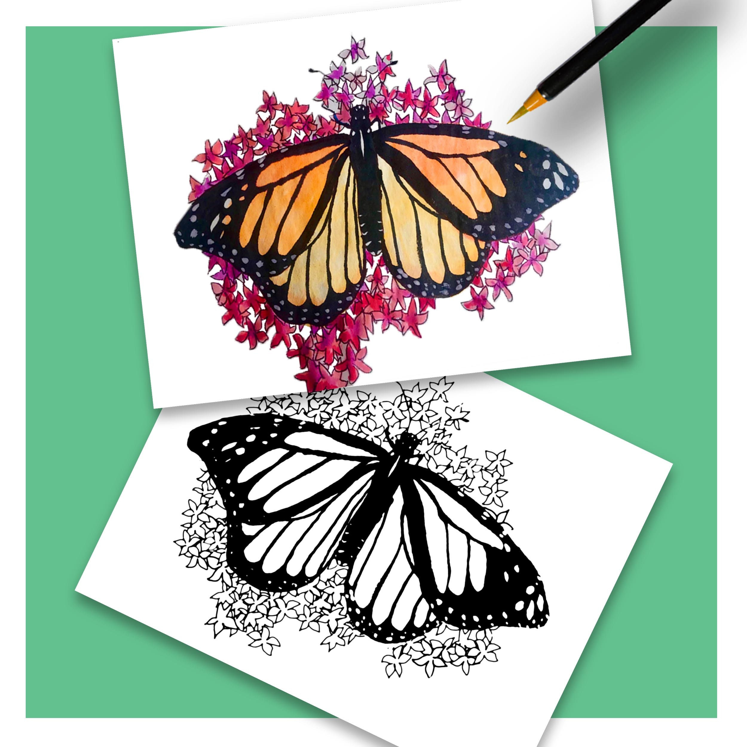 Butterfly Coloring Page For Kids, Printable Coloring Sheets, Pdf throughout Printable Butterfly Picturescolor