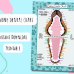 Canine Dental Chart, Digital Download, Printable, Poster With Dog Canine Dental Chart Full Size Printable