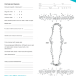 Canine Dental Chart Pdf: Fill Out & Sign Online | Dochub With Dog Canine Dental Chart Full Size Printable