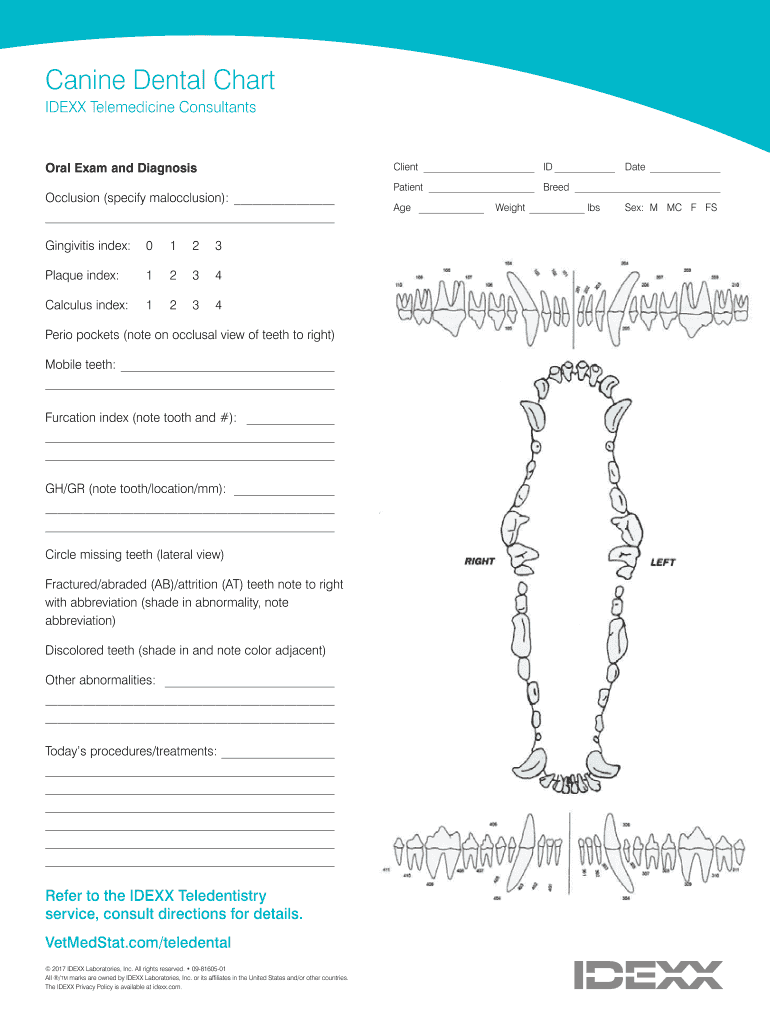 Canine Dental Chart Pdf: Fill Out &amp;amp; Sign Online | Dochub with Dog Canine Dental Chart Full Size Printable