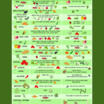 Companion Planting And Plant Spacing Chart – A+ Garden Center with Printable Companion PlantingDeter Pests