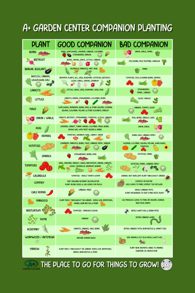 Printable Companion PlantingDeter Pests FREE Printables Printable Companion PlantingDeter Pests FREE Printables