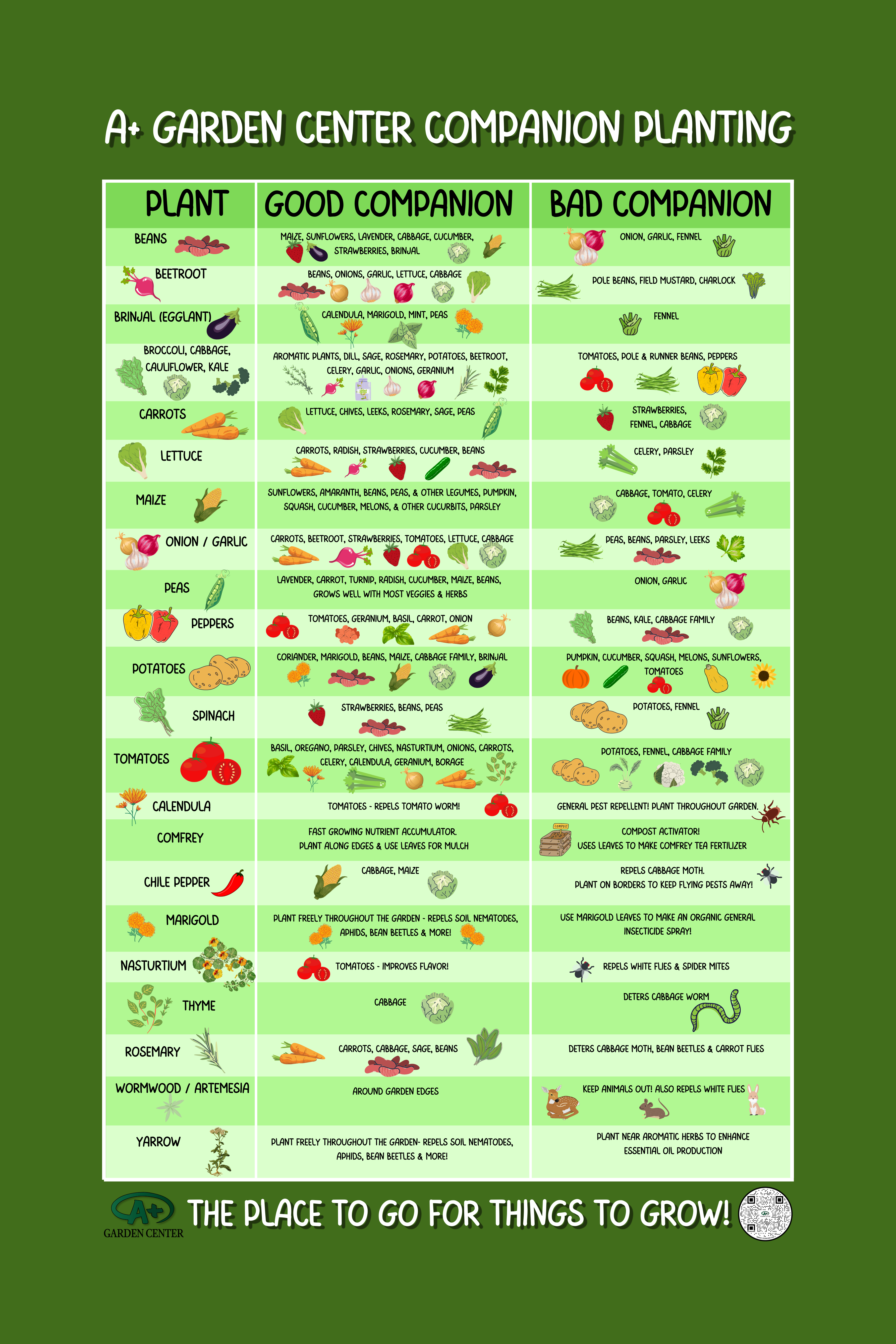 Companion Planting And Plant Spacing Chart - A+ Garden Center with Printable Companion PlantingDeter Pests