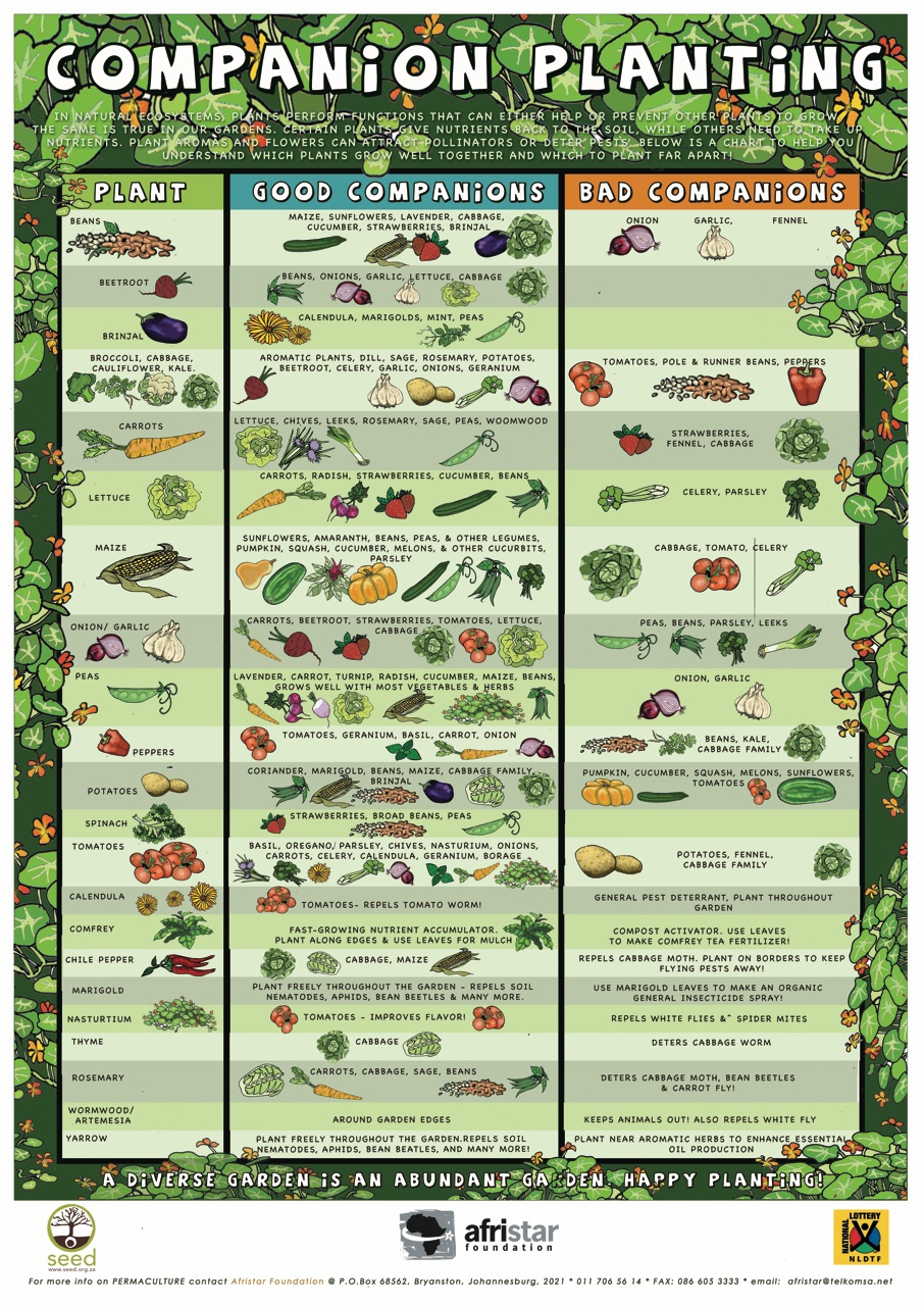 Companion Planting Chart regarding Printable Companion Planting Chart