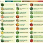 Companion Planting With Printable Companion PlantingDeter Pests