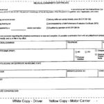 Dot Medical Card   10 Free Pdf Printables | Printablee With Regard To Certificate Printable Dot Medical Card