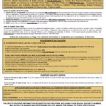 Ds 11 Us Passport Application ≡ Fill Out Printable Pdf Forms Online Intended For Printable Ds 11 Form