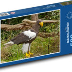 Eagle   Predator, Bird Of Prey   Puzzle Of 500 Pieces, Size 46X30 Cm With The Eagles Puzzles Printable