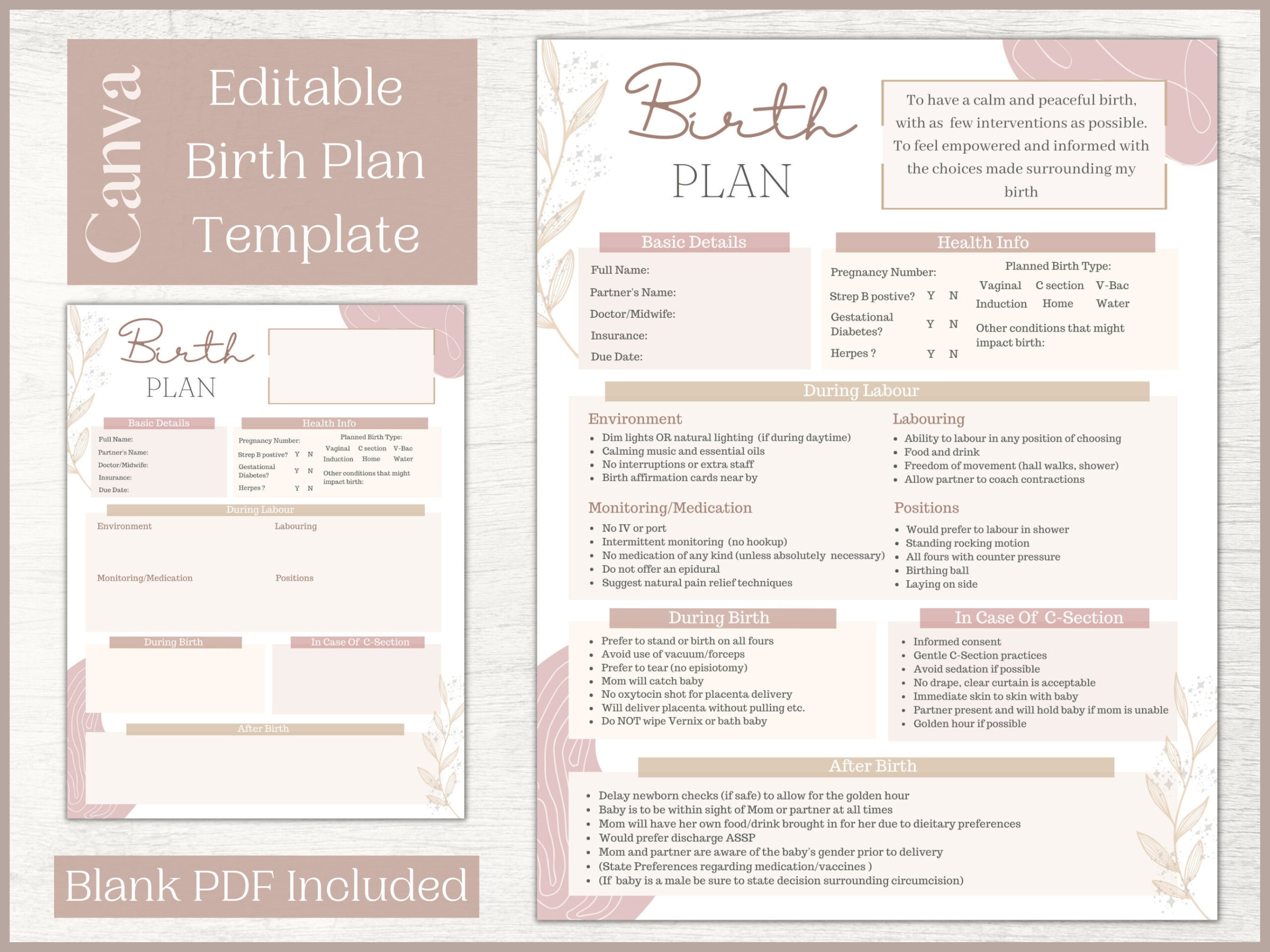 Editable Birth Plan Template Printable Birthing Plan Labour And pertaining to Printable Birth Plan Template