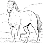 🐴 50 Horse Coloring Pages: Free Printable Sheets with regard to Horse Coloring Sheets Printable