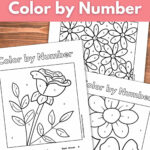 Flower Colornumber   Nature Inspired Learning For Printable FlowersColor