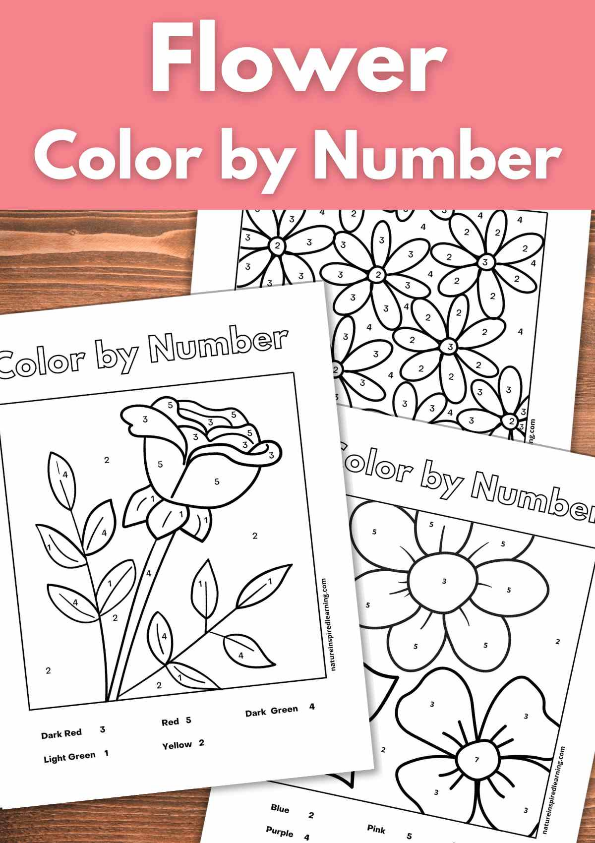 Flower Colornumber - Nature Inspired Learning for Printable FlowersColor