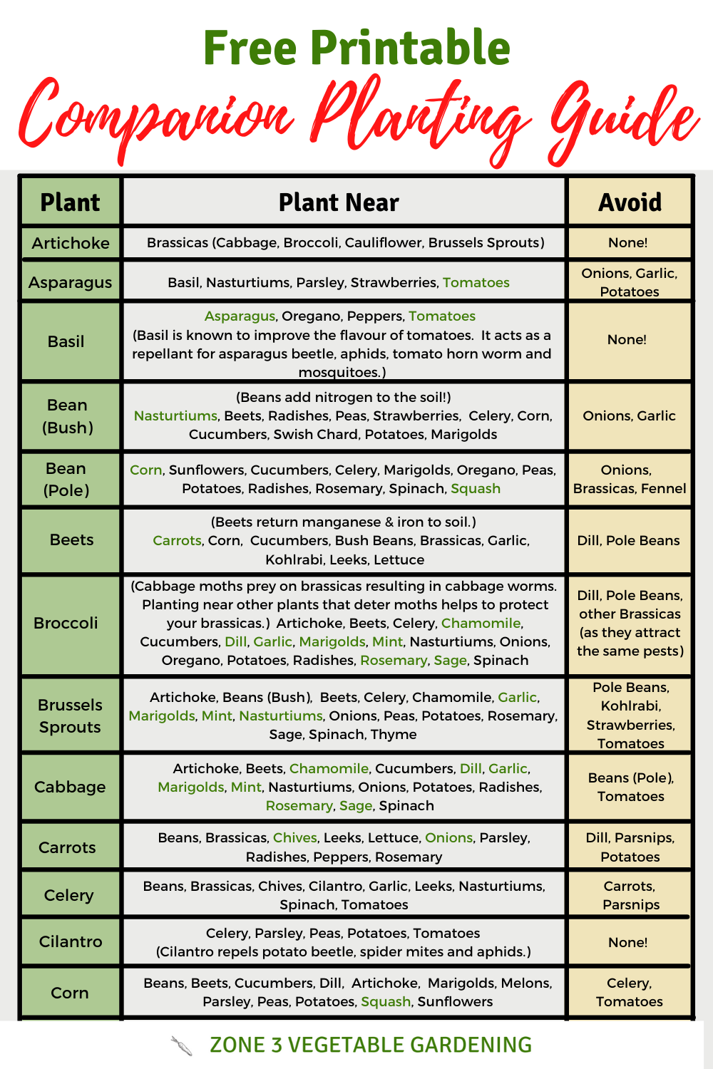 Free Printable Companion Planting Guide throughout Printable Companion Planting Chart