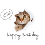 Free Printable Funny Birthday Card Templates | Canva Pertaining To Funny Printable Birthday Cards