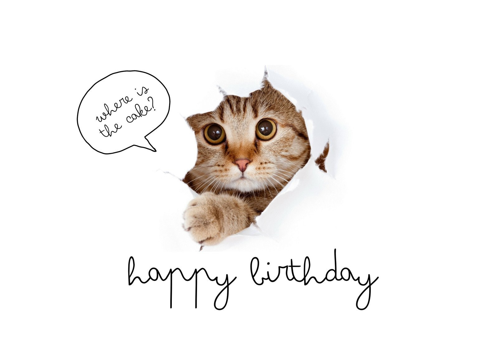 Free Printable Funny Birthday Card Templates | Canva pertaining to Funny Printable Birthday Cards