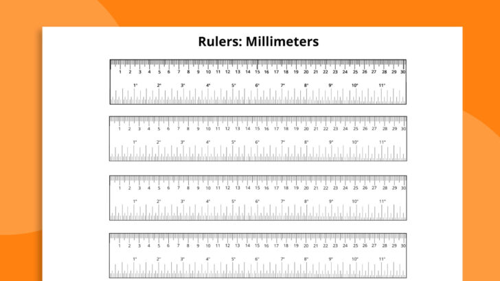 Ruler in Mm Printable