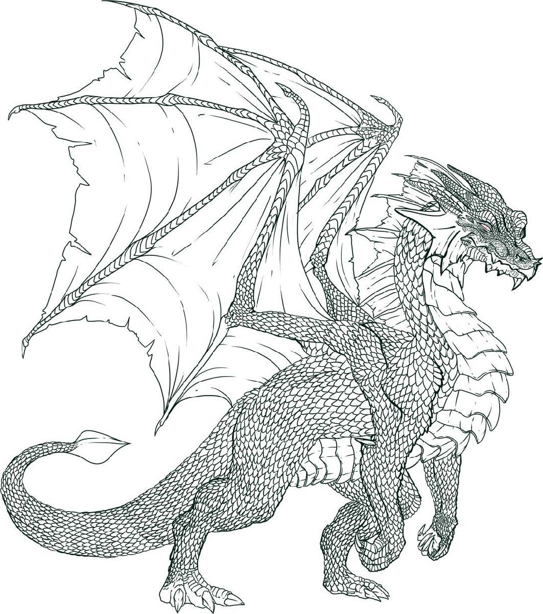 Free Realistic Dragon Coloring Pages Pdf intended for Printable Dragon Picturescolor