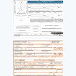 How To Fill Out Passport Form Ds 11 [Complete Guide] In Printable Ds 11 Form