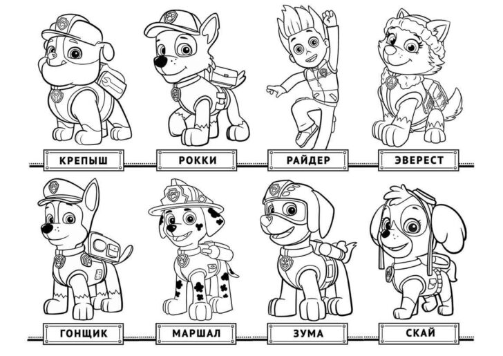 Free Printable Paw Patrol Colouring Pages