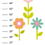 Pin Page With Regard To Printable Growth Chart For Wall Free