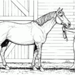 Printable Coloring Pages Within Horse Coloring Sheets Printable