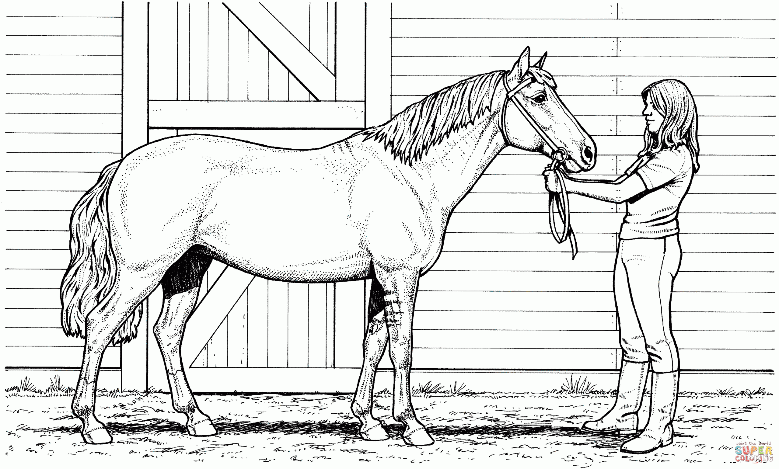 Printable Coloring Pages within Horse Coloring Sheets Printable