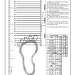 Printable Shoe Size Chart Adult 1 – Sovereign Lake Nordic Club Intended For Printable Shoe Size Chart