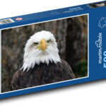 The Bald Eagle   Puzzle Of 500 Pieces, Size 46X30 Cm Intended For The Eagles Puzzles Printable