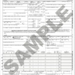 The Revised Cms 1500 Claim Form: Everything You Need To Know Pertaining To Printable Cms 1500 Form