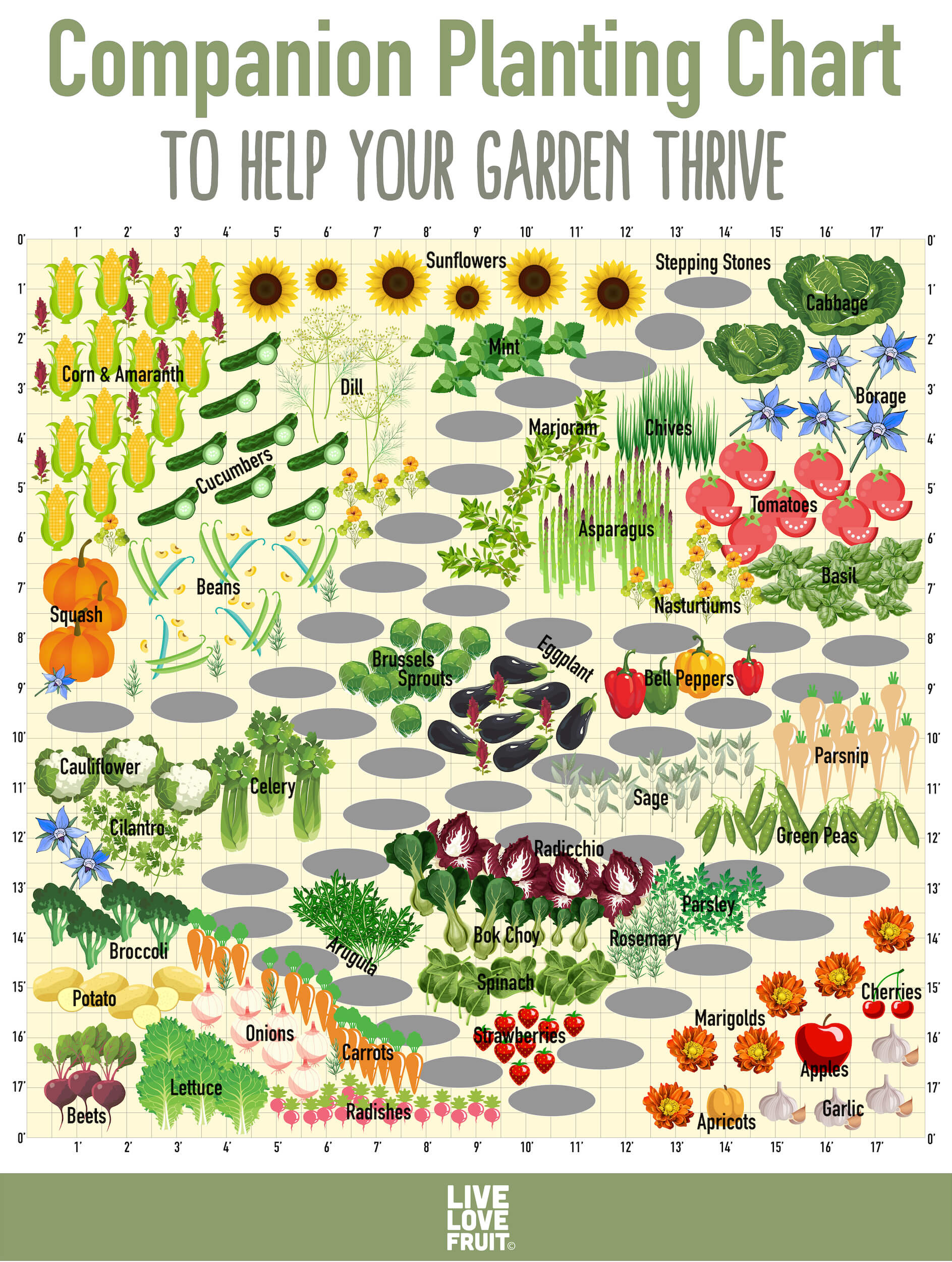 Use This Companion Planting Chart To Help Your Garden Thrive regarding Printable Companion Planting Chart