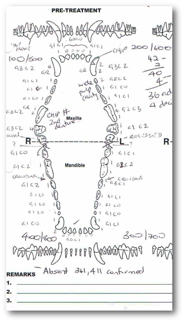 Veterinary Dental Charting For Dummies - Vetanswers intended for Template Printable Canine Dental Chart